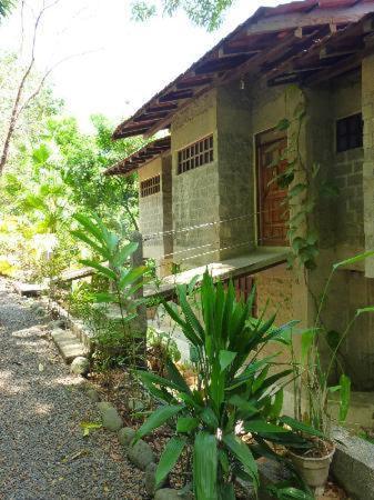 Luz De Mono Hotel Montezuma Exterior photo